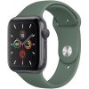 Apple-Watch-Series-5-GPS-44mm-Space-Gray-Aluminum-with-Pine-Green-Sport-Black